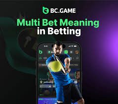 Multiple Betting Options for Every Type of Player